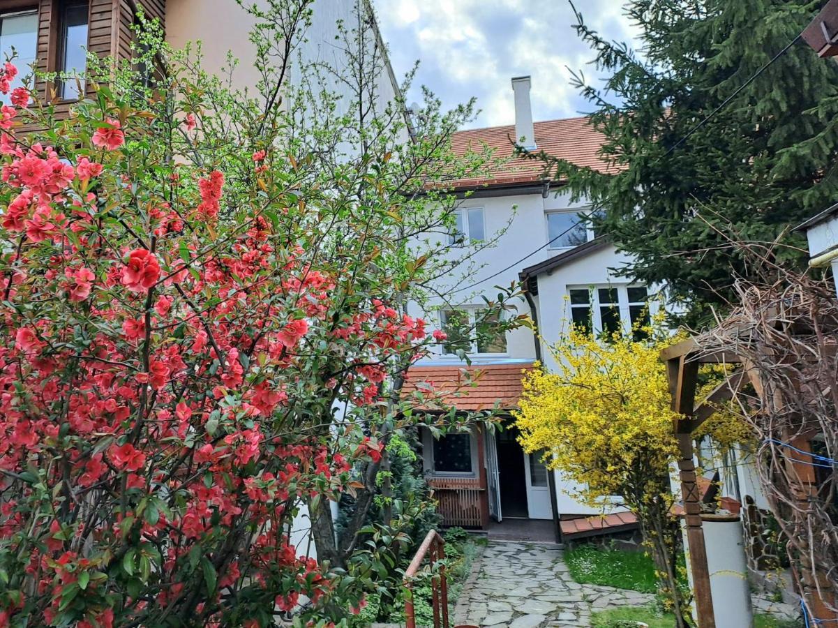 7 Level Central Apartments Миеркуря Чук Екстериор снимка