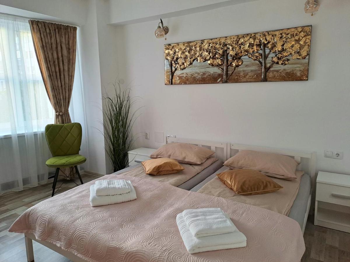 7 Level Central Apartments Миеркуря Чук Екстериор снимка