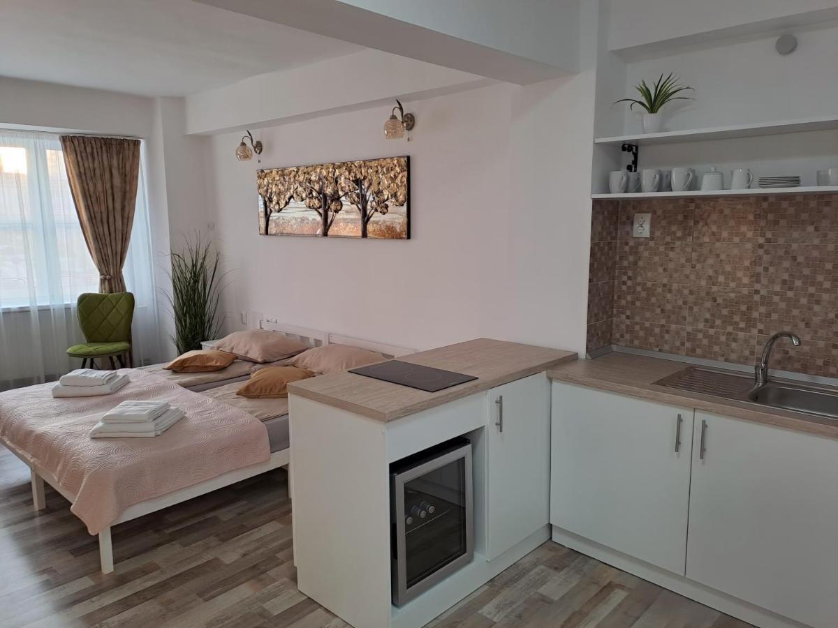 7 Level Central Apartments Миеркуря Чук Екстериор снимка