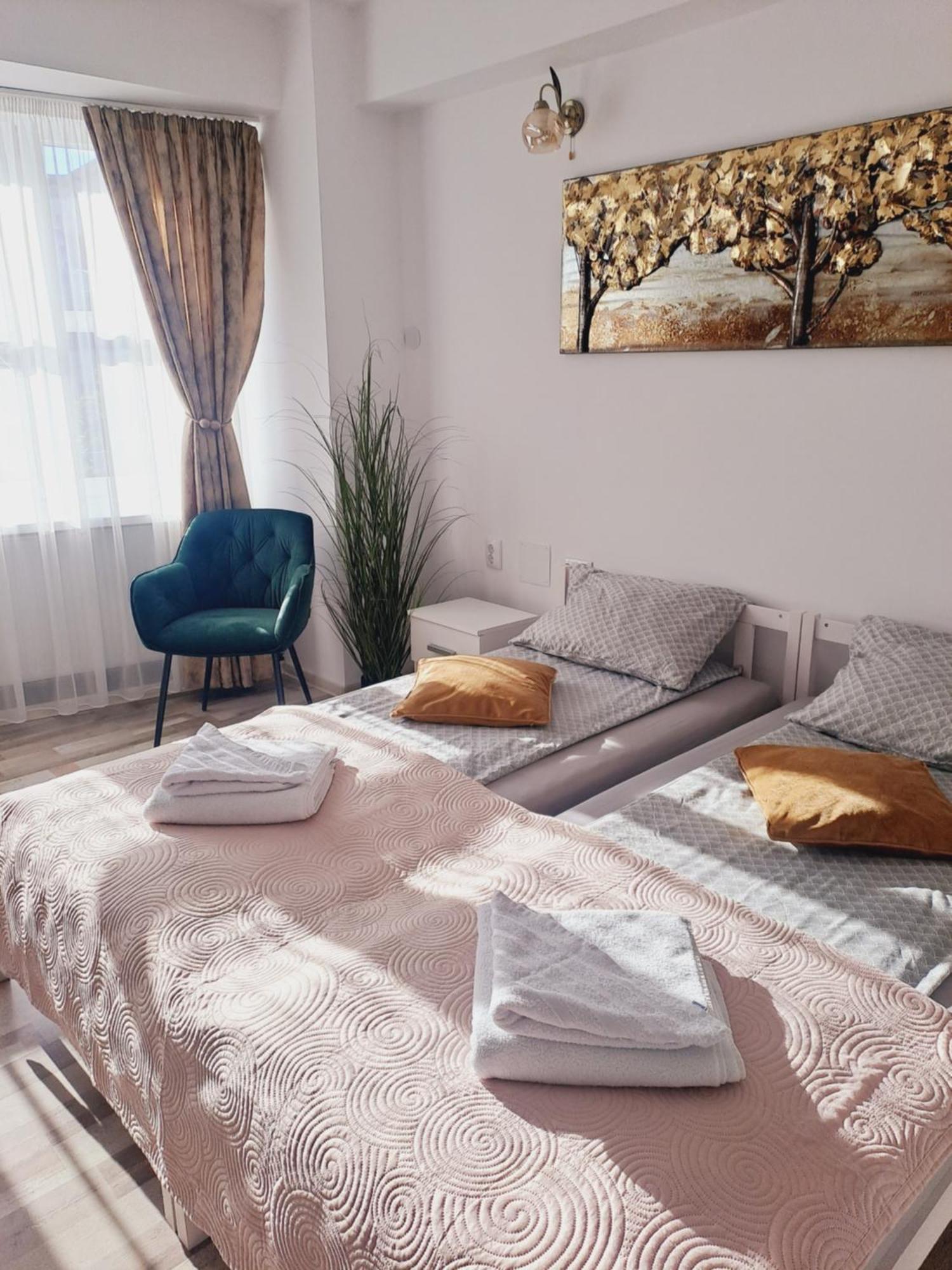 7 Level Central Apartments Миеркуря Чук Стая снимка
