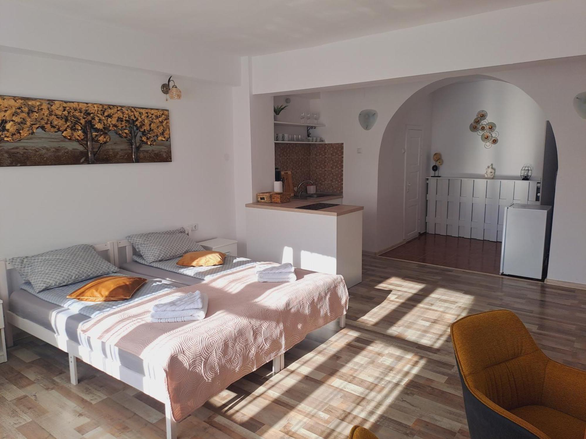 7 Level Central Apartments Миеркуря Чук Стая снимка